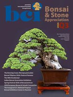 BCI Bonsai & Stone Appreciation Magazine